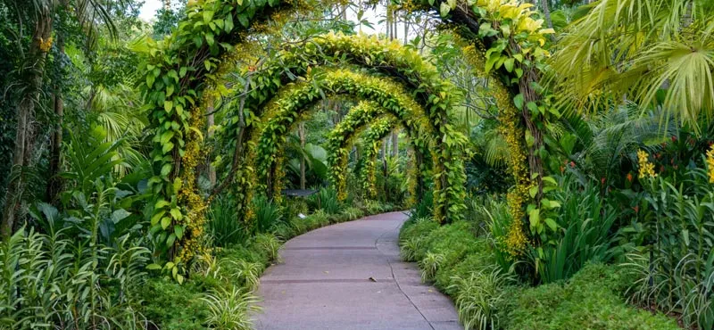Jardín Botánico en Washington DC