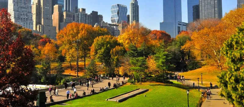 Estaciones en Nueva York, otoño