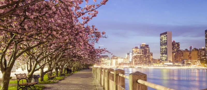 Estaciones en Nueva York, primavera