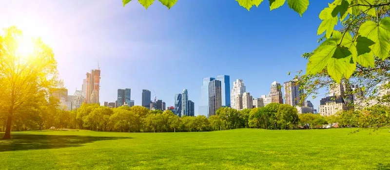 organizar tu viaje a Nueva York: Itinerario