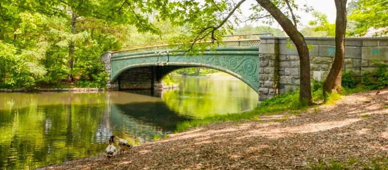 Cosas que no te puedes perder en Brooklyn, Prospect Park
