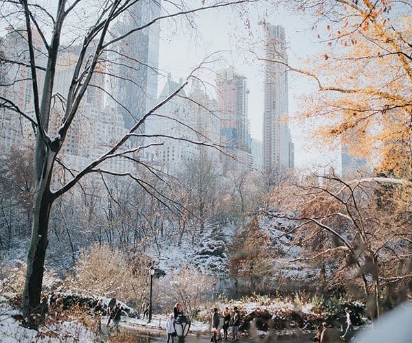 Invierno en Nueva York, Central Park