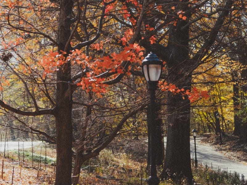Octubre en Nueva York