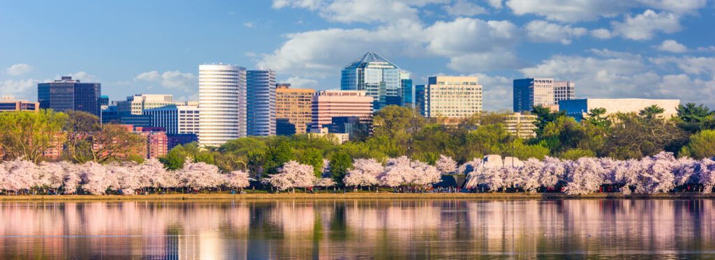 Cómo llegar a Washington DC desde Nueva York