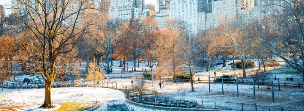 Winter in New York - Complete Guide