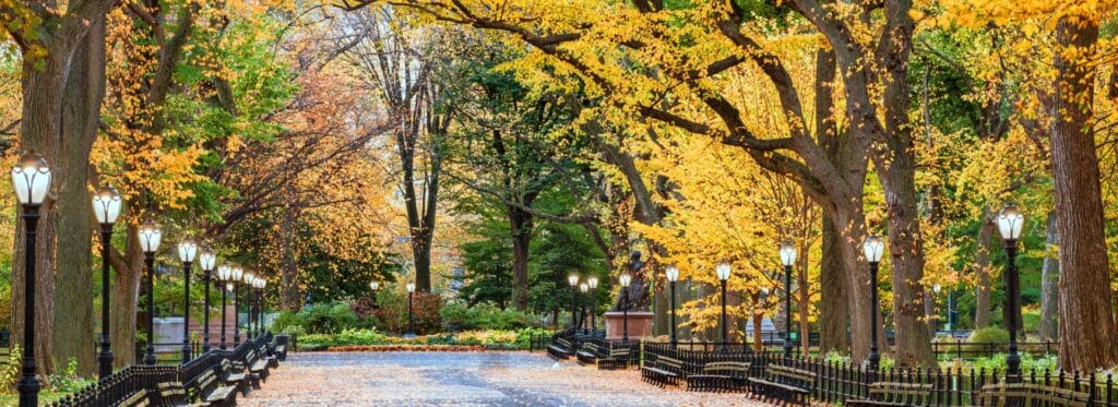 Parques nacionales para visitar en Estados Unidos