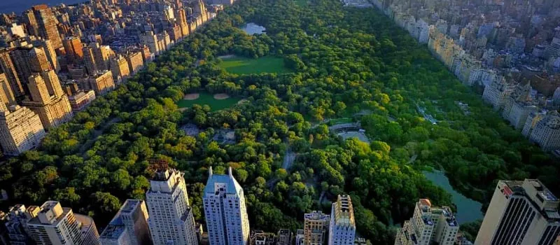 Central Park in New York