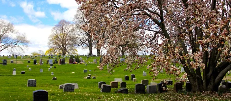 brooklyn cementery