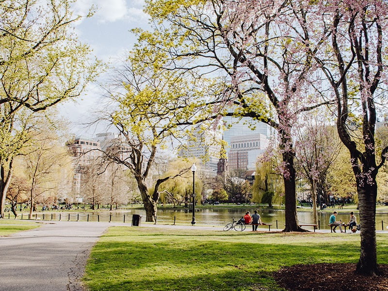 Central Park Riding