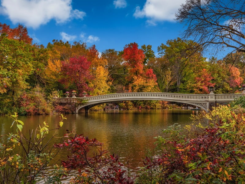 Family Vacation in New York - Central Park