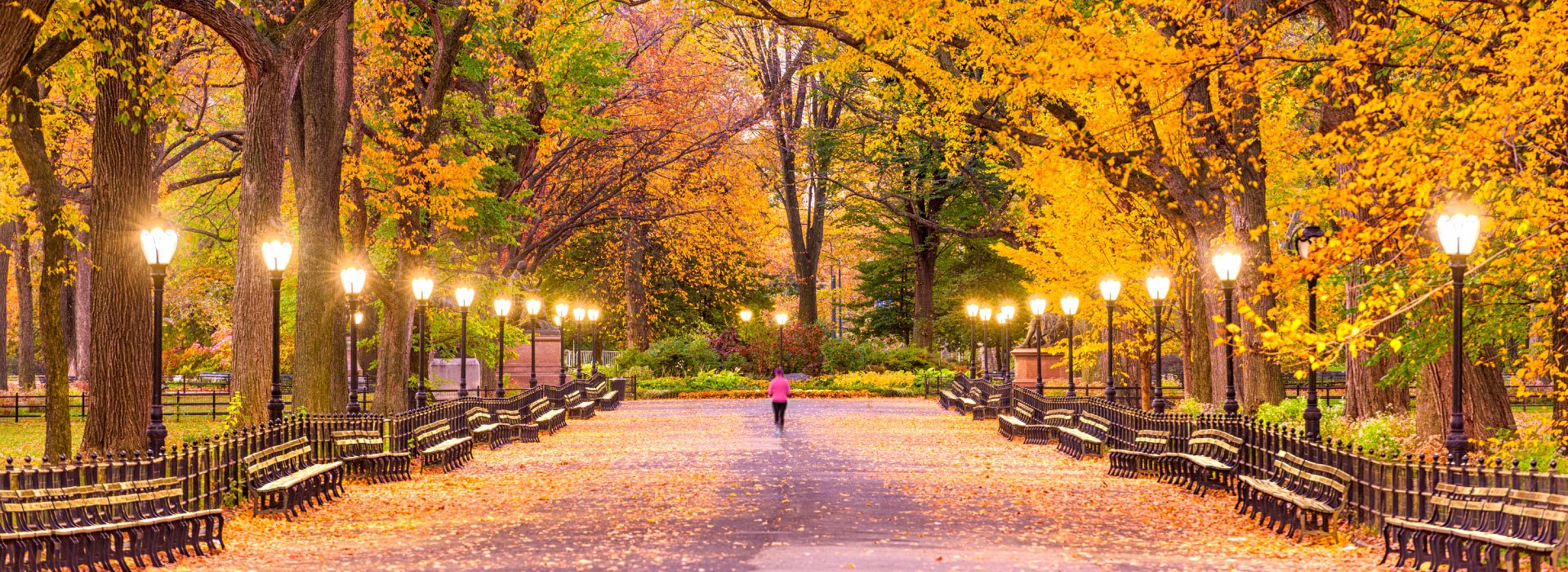 October and November in New York