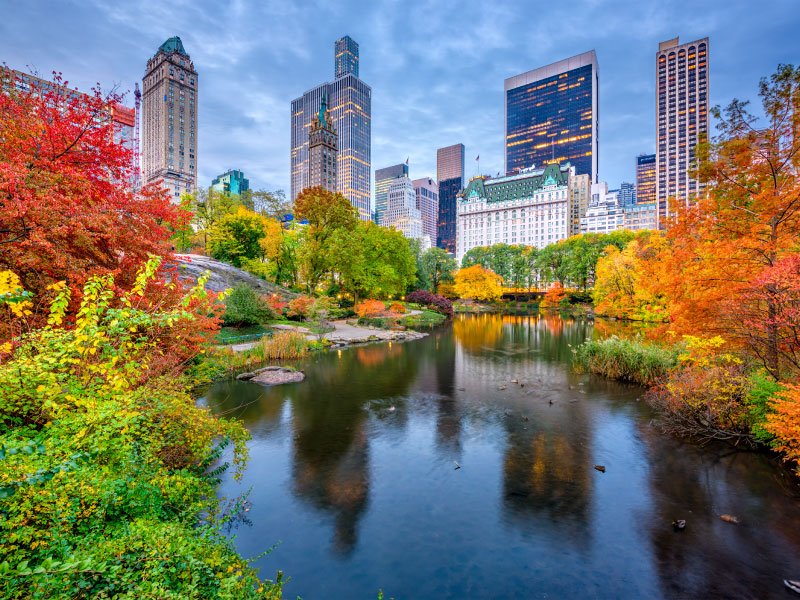 Octubre y noviembre en Nueva York, Central Park