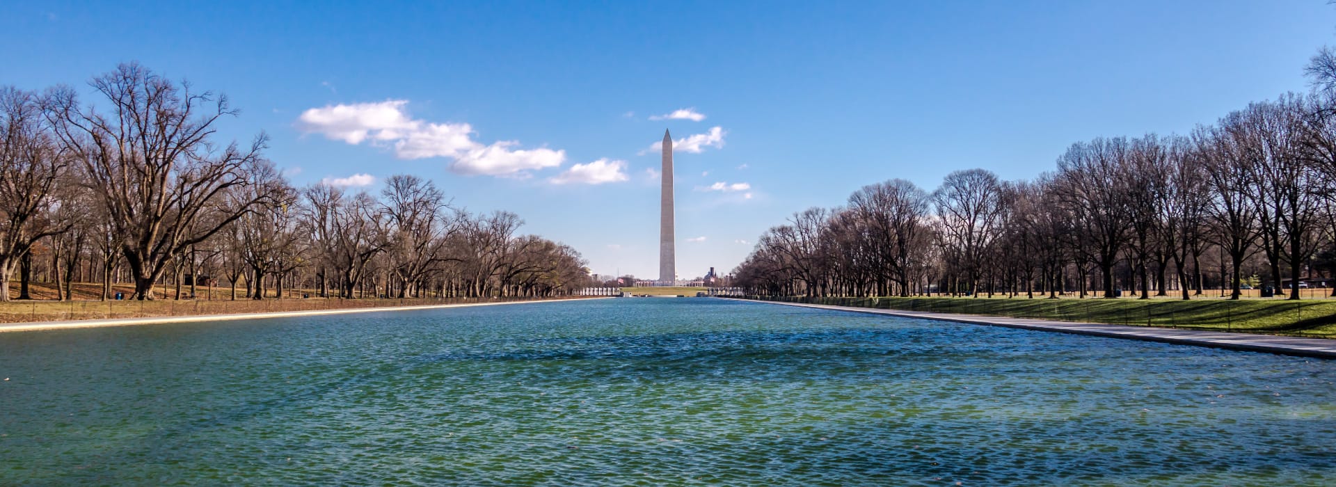The Washington Monument