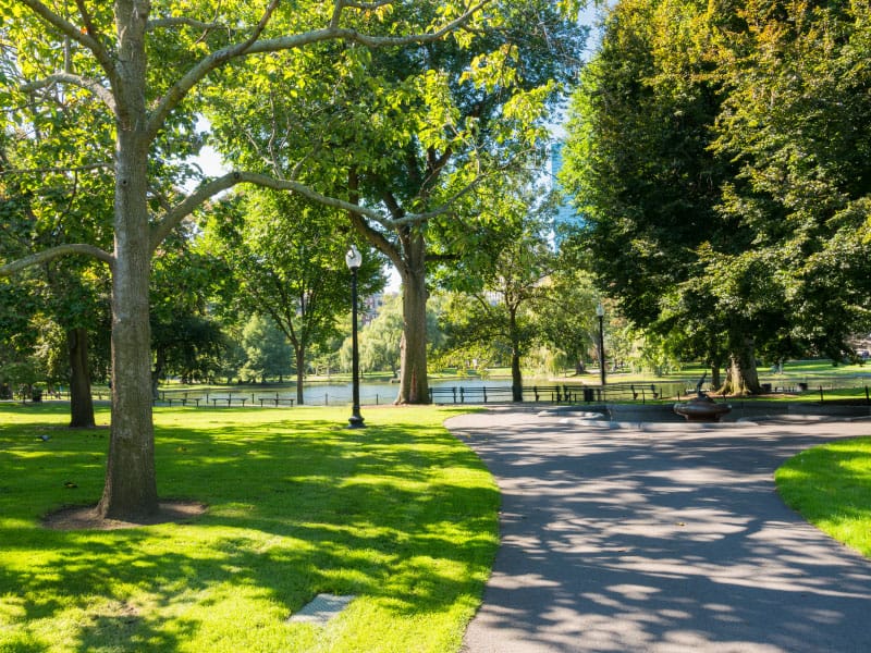 Best Places to Visit in Boston, Boston Common
